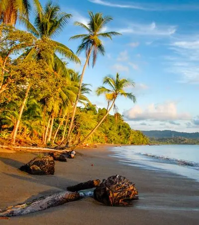 Plages paradisiaques